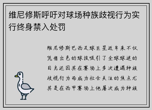 维尼修斯呼吁对球场种族歧视行为实行终身禁入处罚